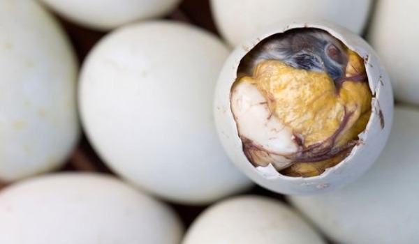 balut1_600.jpg