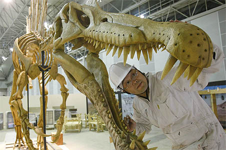 largest dinosaur skeleton