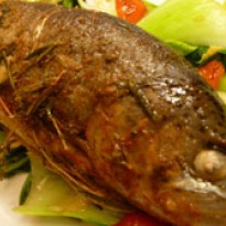 Baked Trout in Butter