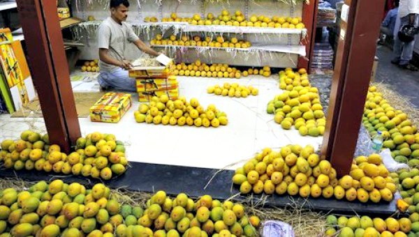 Indians feast on top-quality mangoes after EU ban - NDTV Food