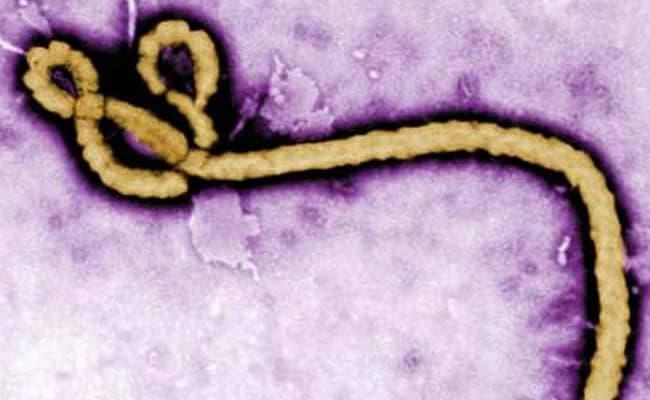 Two people in Guinea have tested positive for Ebola, the spokesman for the National Coordination of the Fight Against Ebola said.