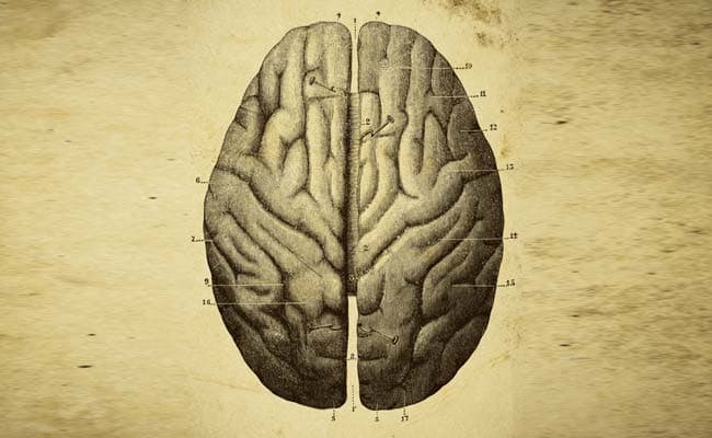 For years, researchers have recorded electrical brain activity that oscillates during sleep.