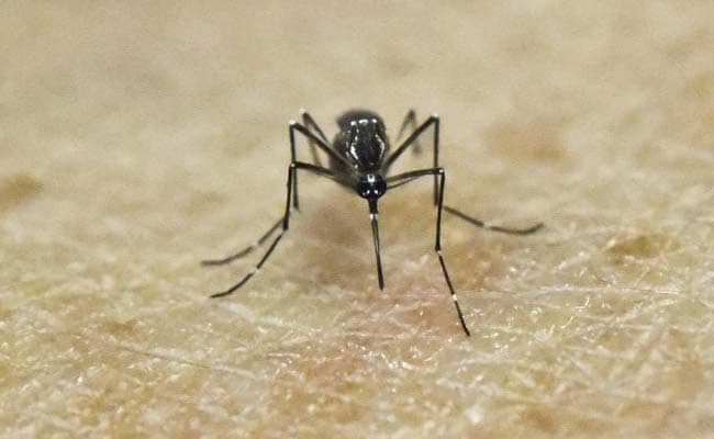 Officials say they have requested at least $225 million in federal funds to fight the spread of Zika in Puerto Rico. (AFP Photo)