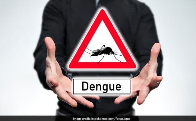 National Dengue Day: Sudden high fever is one of the most common symptoms of dengue