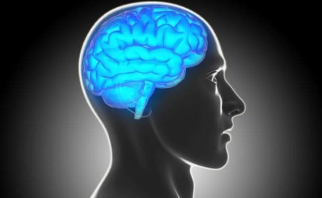 The motivation for natural rewards such as food, sex and exercise - and also of drugs such as nicotine - relies on neurons in the brain's reward system, based in a brain region called the ventral tegmental area. (Representational Image)