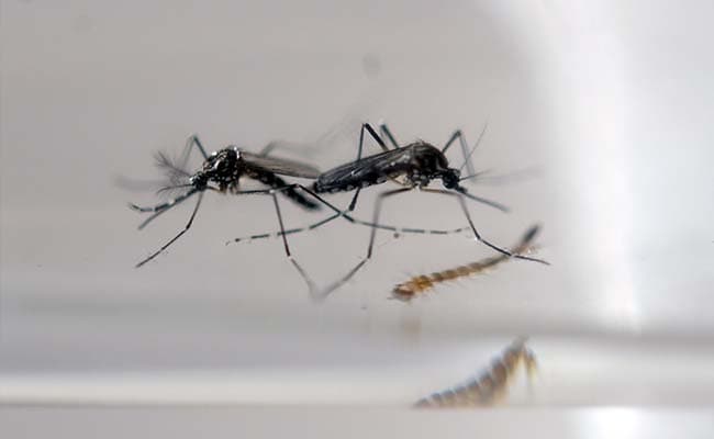 The Zika virus is thought to have reached Asia from Africa at least 50 years ago.