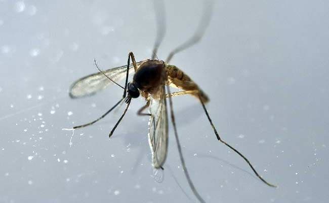 Nicaragua has confirmed its first case of a baby born with microcephaly linked to the Zika virus.